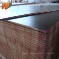 Construction Plywood/18mm Playwood/melamine Glue Waterproof Plywood